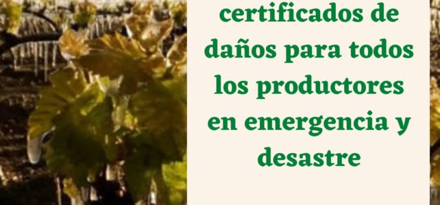 Ya están disponibles los certificados de daños para todos los productores en emergencia y desastre