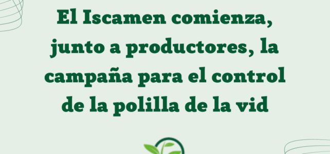 El Iscamen comienza, junto a productores, la campaña para el control de la polilla de la vid.