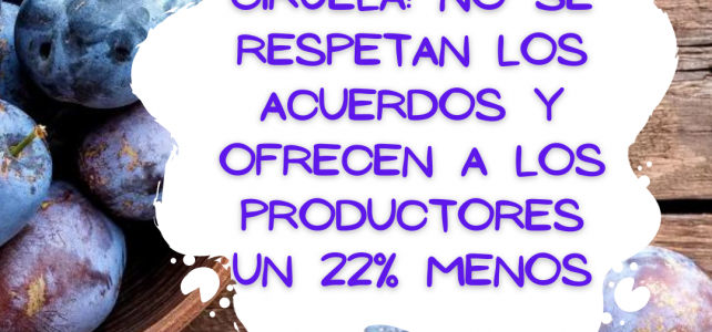 Ciruela: No se respetan los acuerdos y ofrecen a los productores un 22% menos