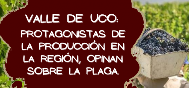 Valle de Uco: protagonistas de la producción en la región, opinan sobre la plaga