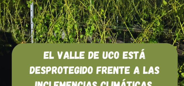 El Valle de Uco está desprotegido frente a las inclemencias climáticas.