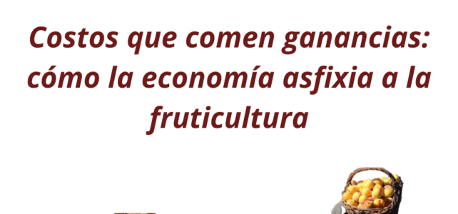 Costos que comen ganancias: cómo la economía asfixia a la fruticultura Costos que comen ganancias: cómo la economía asfixia a la fruticultura