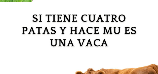 Comunicado CAR Mendoza