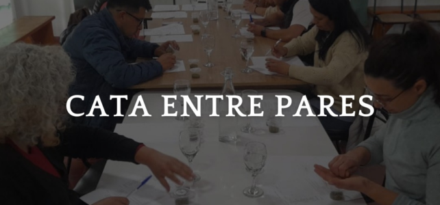 Avanza la Certificación de la Indicación Geográfica del Orégano de San Carlos