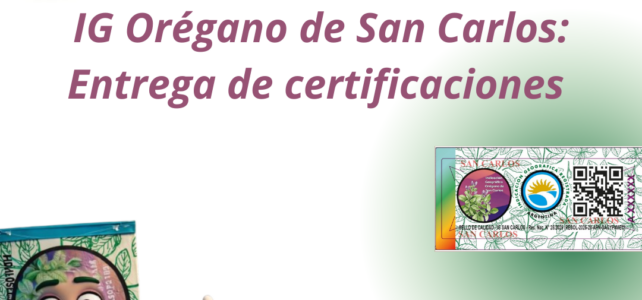 Entrega de certificaciones de la IG Orégano de San Carlos: un paso clave para la producción regional