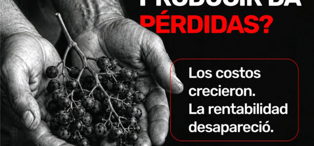 Producir vino ya implica perder $2,65 millones por hectárea Producir vino ya implica perder $2,65 millones por hectárea